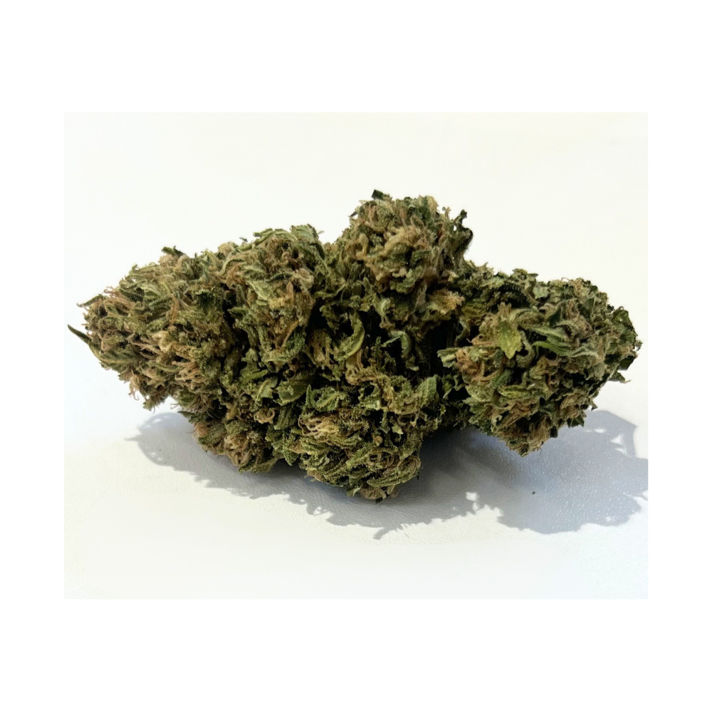 HAZE BREIZH 2.0 - 10 g. (3 g. OFFERT)