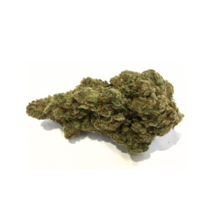 SPECIAL ONE INDOOR PRÉMIUM 5 G.